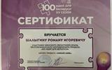 Сертификат_Шалыгин
